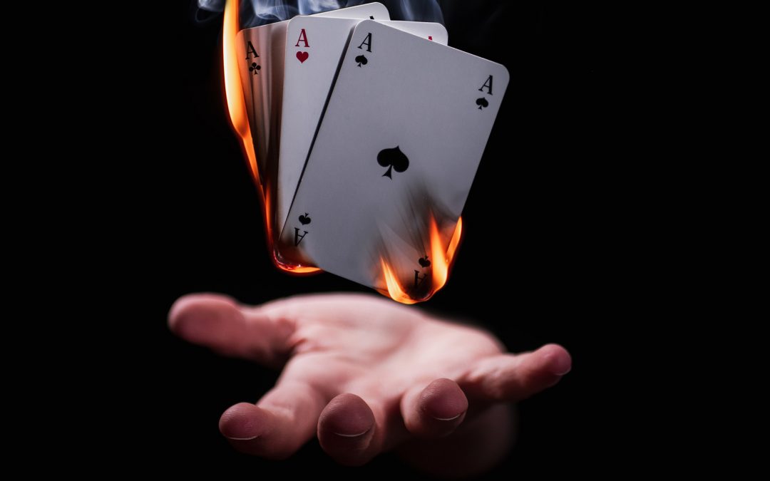 C2: P5 Anem d’excursió